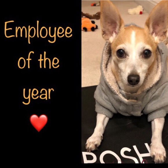 B2GO on $6 or less items or 3* items = 20% off!🔻 - Picture 3 of 5